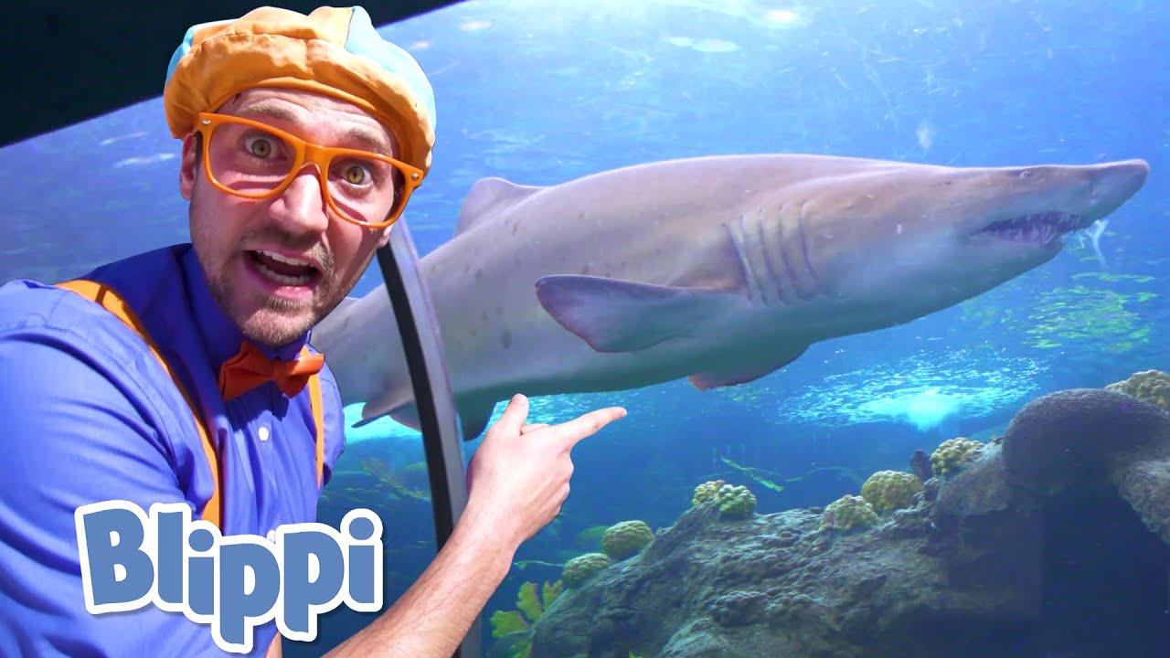 Blippi Visits an Aquarium! | Learn About  Fish & Animals for Kids | Educational Videos For Toddlers