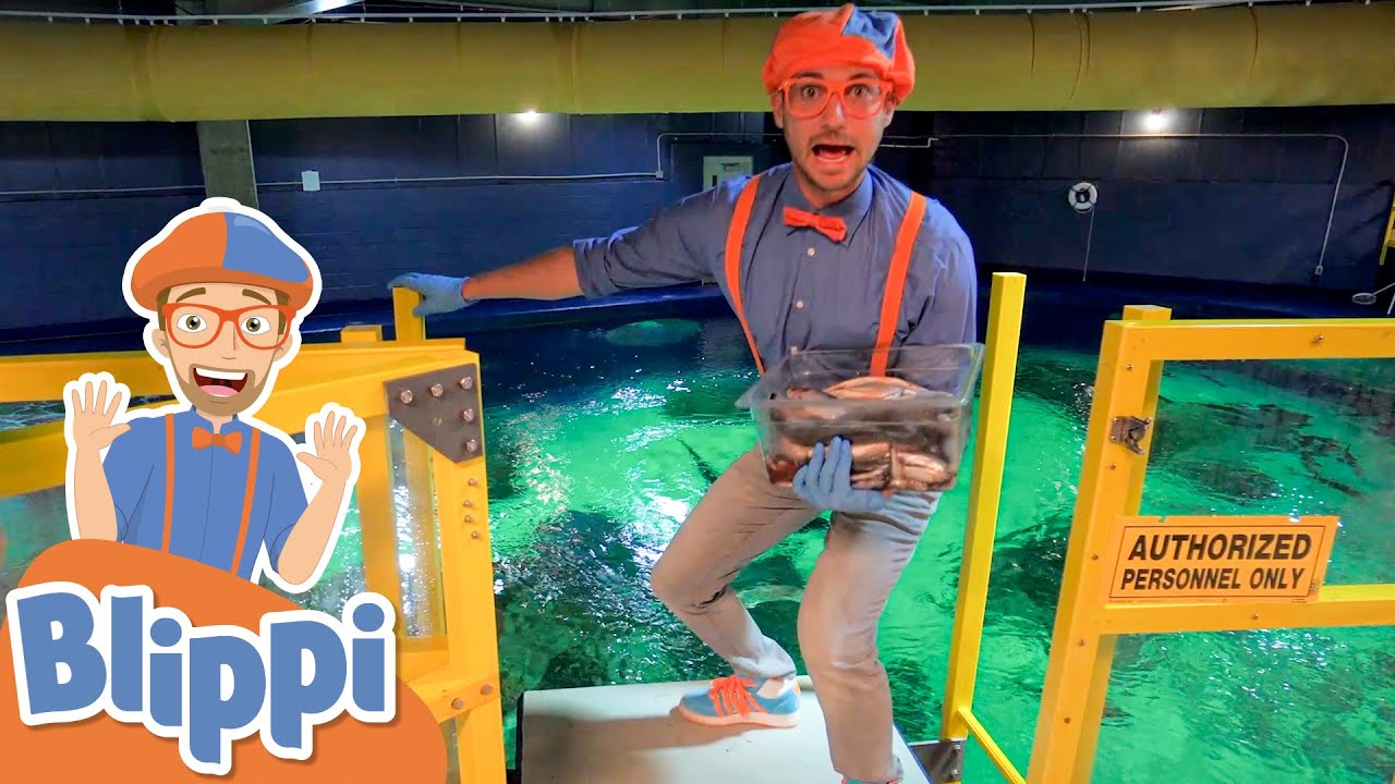Blippi Visits an Aquarium! | Learm About Animals & Fish For Kids | Educational Videos For Toddlers