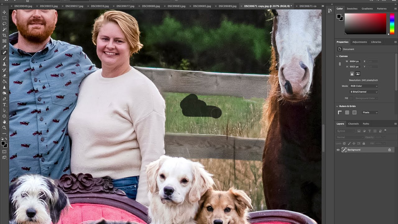 Farm Family Photography – Behind The Scenes