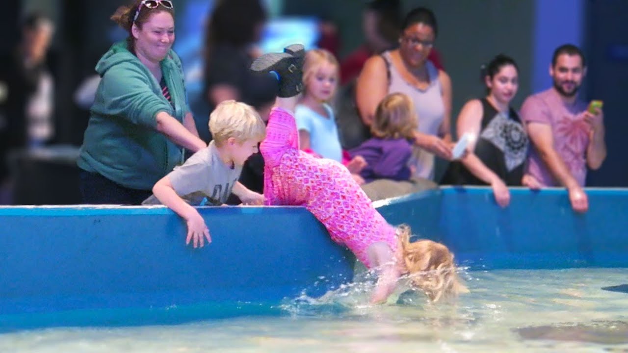 Girl Falls Into Aquarium