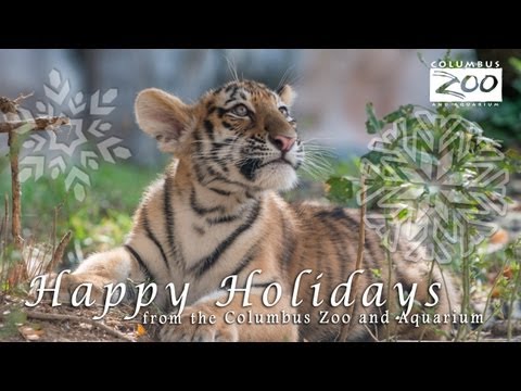 Happy Holidays from the Columbus Zoo and Aquarium Family