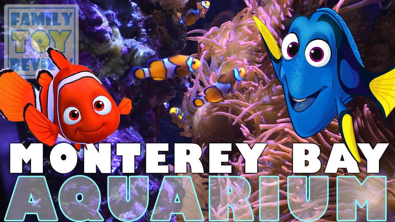 Kids at the Aquarium – Family Fun Vacation Trip to Monterey Bay Aquarium – Children and Kids Travel