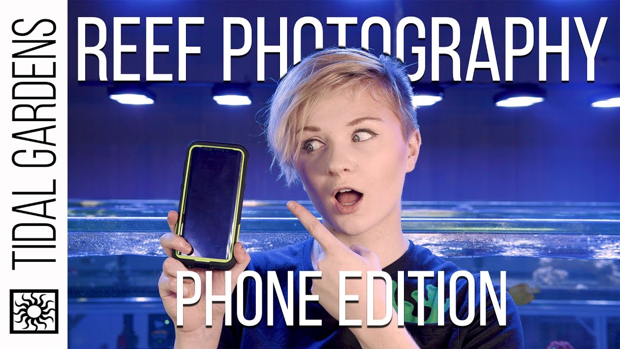 Reef Aquarium Photography – Part II: Phone Camera Photography and Videography