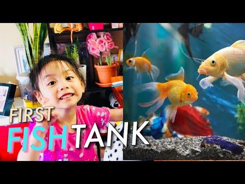 AQUARIUM FOR KIDS FIRST FISH TANK FOR BEGINNERS | Jah and Ge