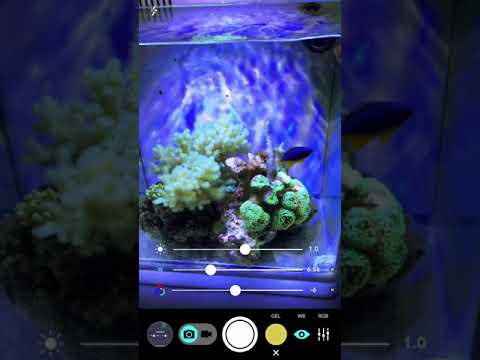 Aquarium Camera App for iPhone, iPad and Android