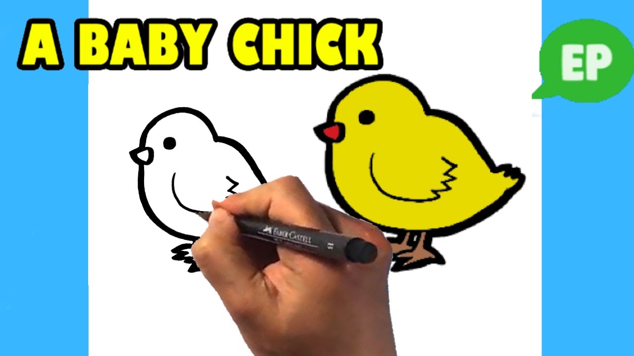 How to Draw a Baby Chick – Cute Animals – Easy Pictures to Draw