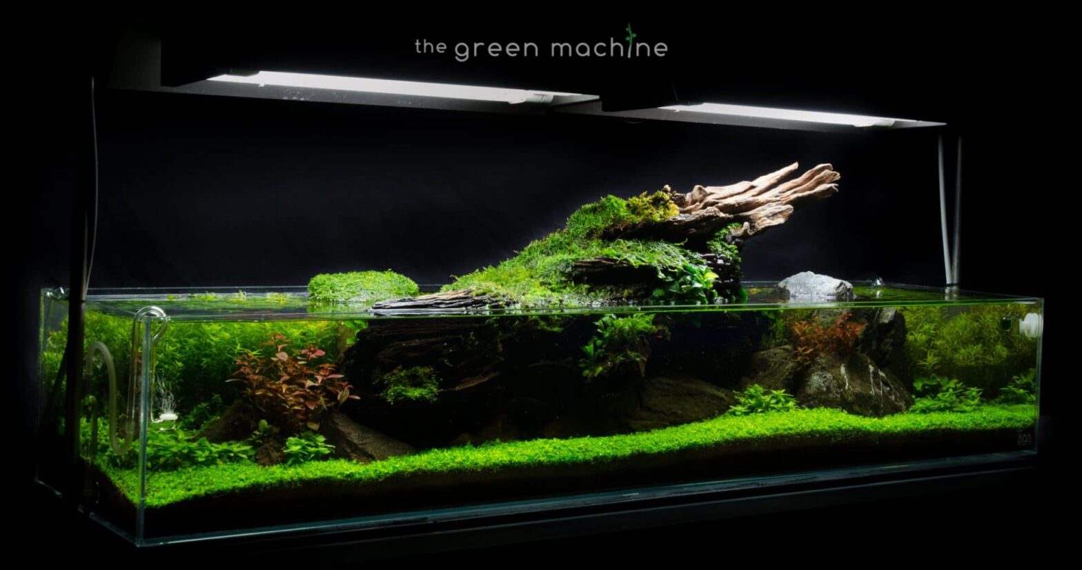 Planted Tanks Revisited: Altitude & Escarpment Video – Aquascape Art