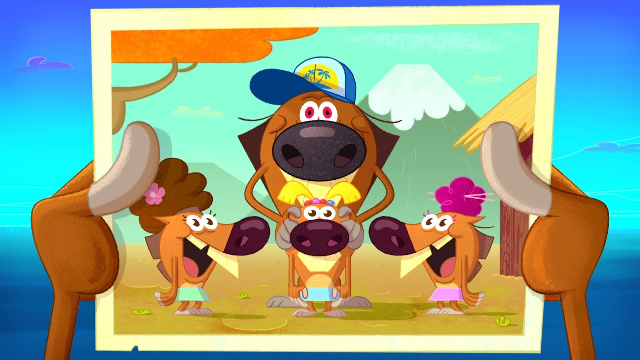 Zig & Sharko 📸 ZIG FAMILY PHOTO 💕 Compilation Cartoons for Kids