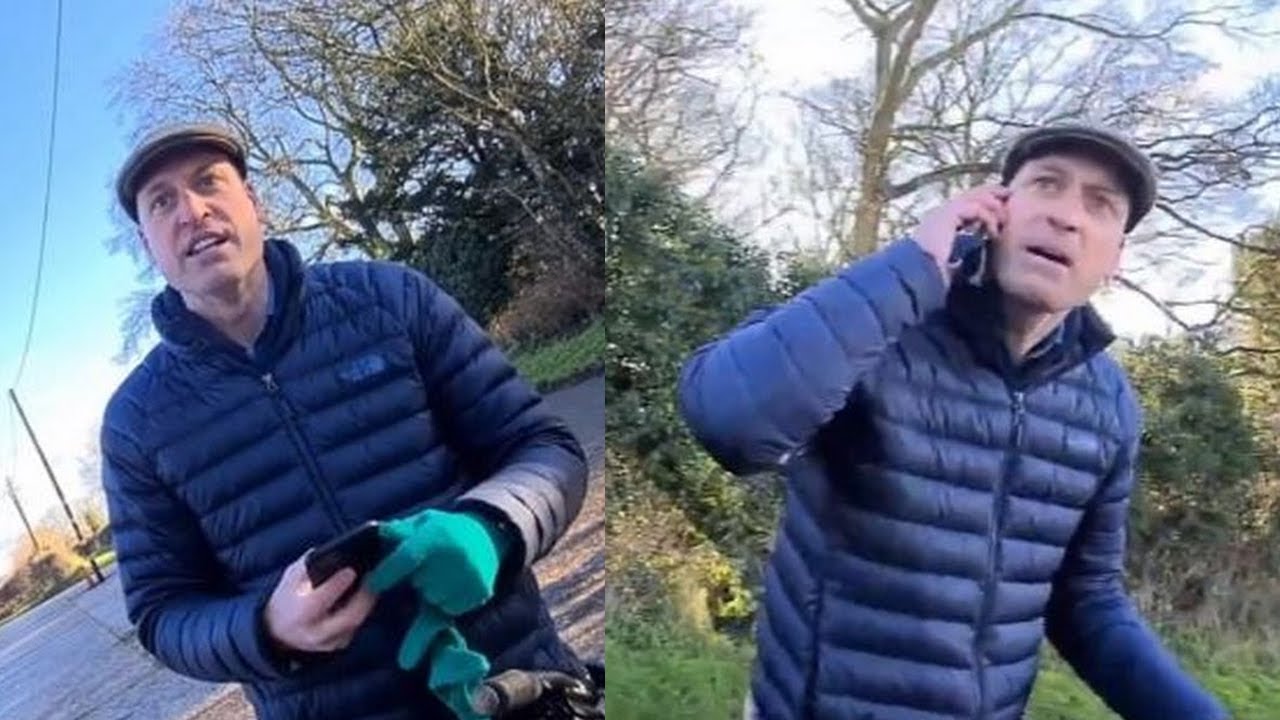 'You're disgusting!'Prince William shouts at the photographer in the viral video
