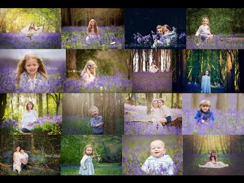 Bluebell Photography Inspiration baby, children and pets