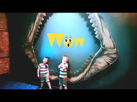 Caleb and Mason exploring the Aquarium | Top videos for kids