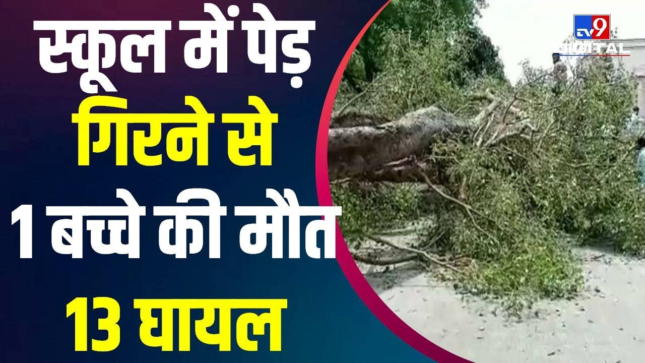 Chandigarh के एक School में पेड़ गिरने से एक बच्चे की मौत, 13 घायल | Chandigarh Hadsa