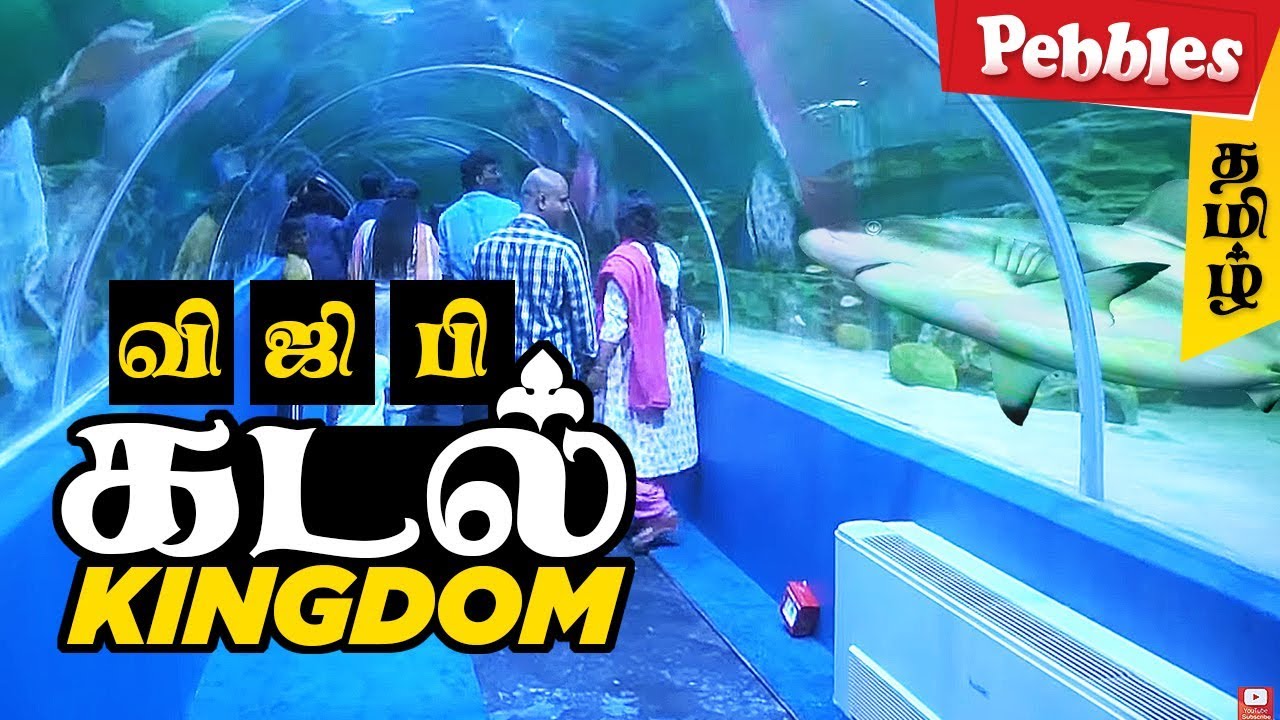 India's First Underwater Aquarium | VGP Marine Kingdom | Underwater tunnel in Chennai