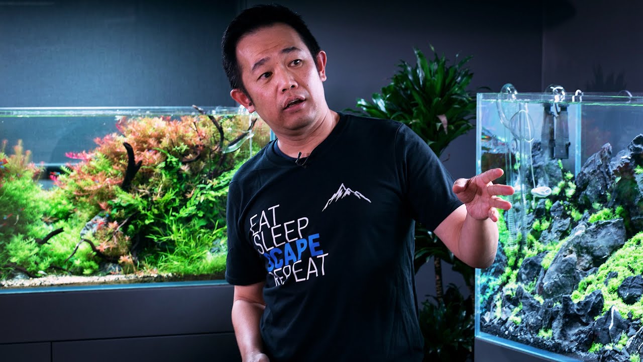 MASTERCLASS – HOW TO BUILD THE PERFECT AQUASCAPE FOR CONTESTS – BY WORLD CHAMPION JOSH SIM
