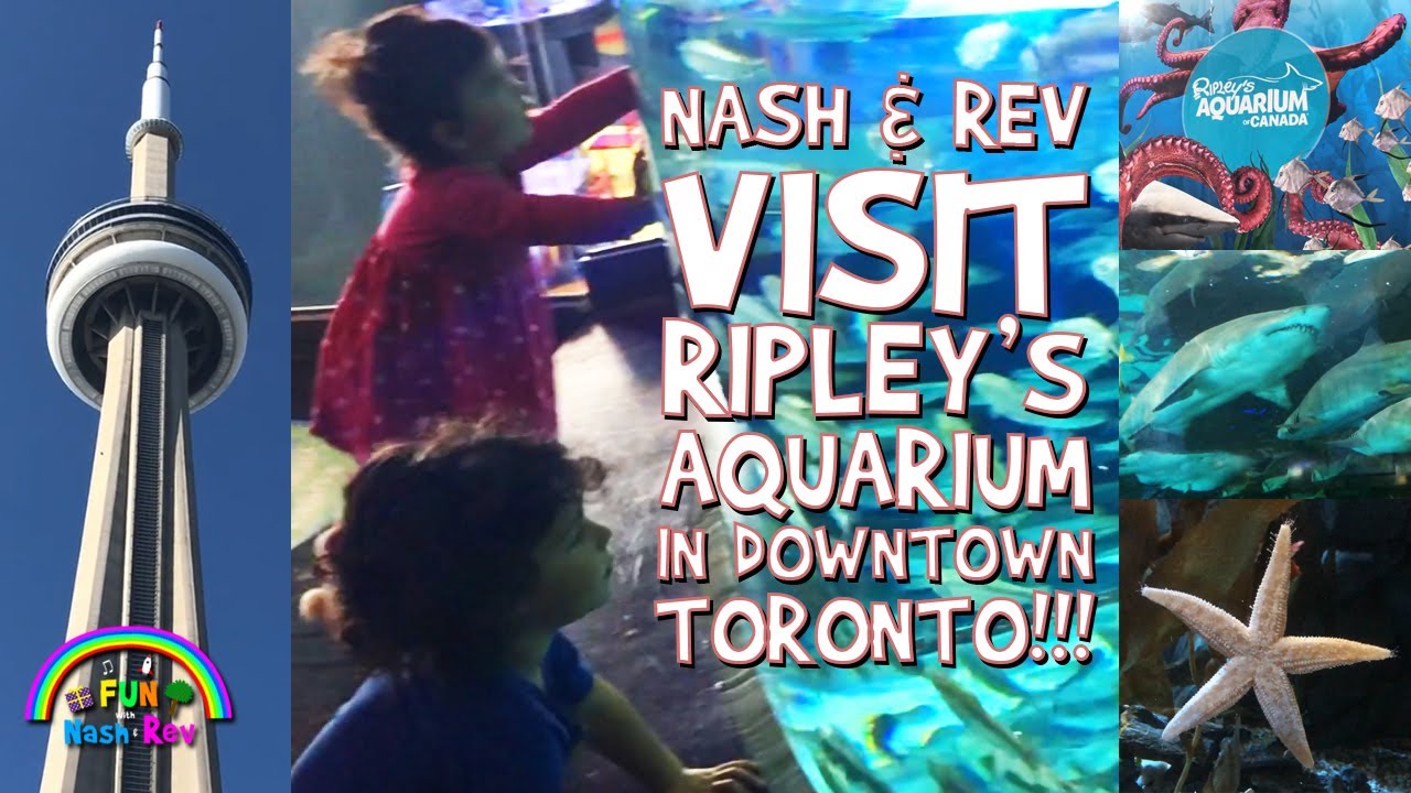 Nash & Rev Visit RIPLEY'S AQUARIUM in DOWNTOWN TORONTO!!!  For Kids!!!