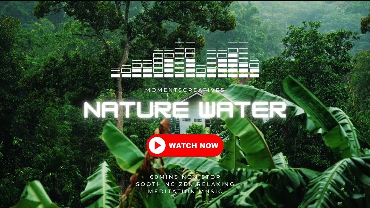 Nature Raining Water Sound Sleep White Noise (30mins NonStop Relaxing Zen Soothing Meditation Music)