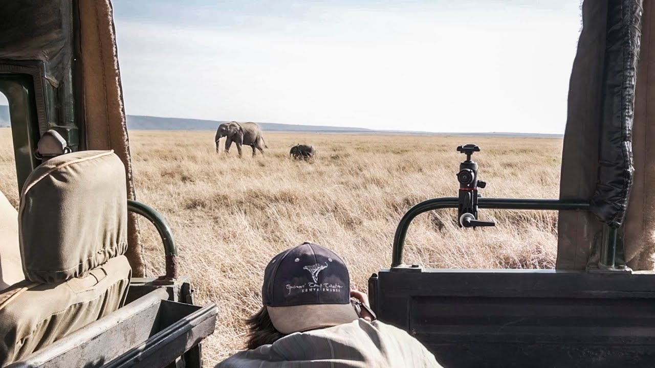 Baby Elephants and Hyenas – WILDLIFE PHOTOGRAPHY ON SAFARI