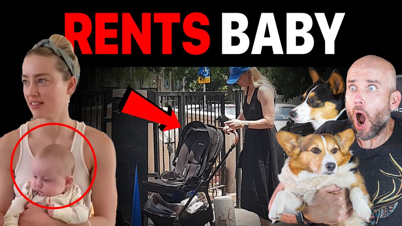 FAKE BABY? Insider reveals Amber Heard RENTS KID after Johnny Depp Trial