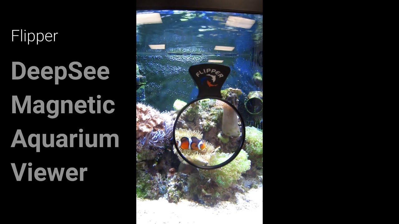 Flipper DeepSee Magnetic Aquarium Viewer from MarineAndReef.com