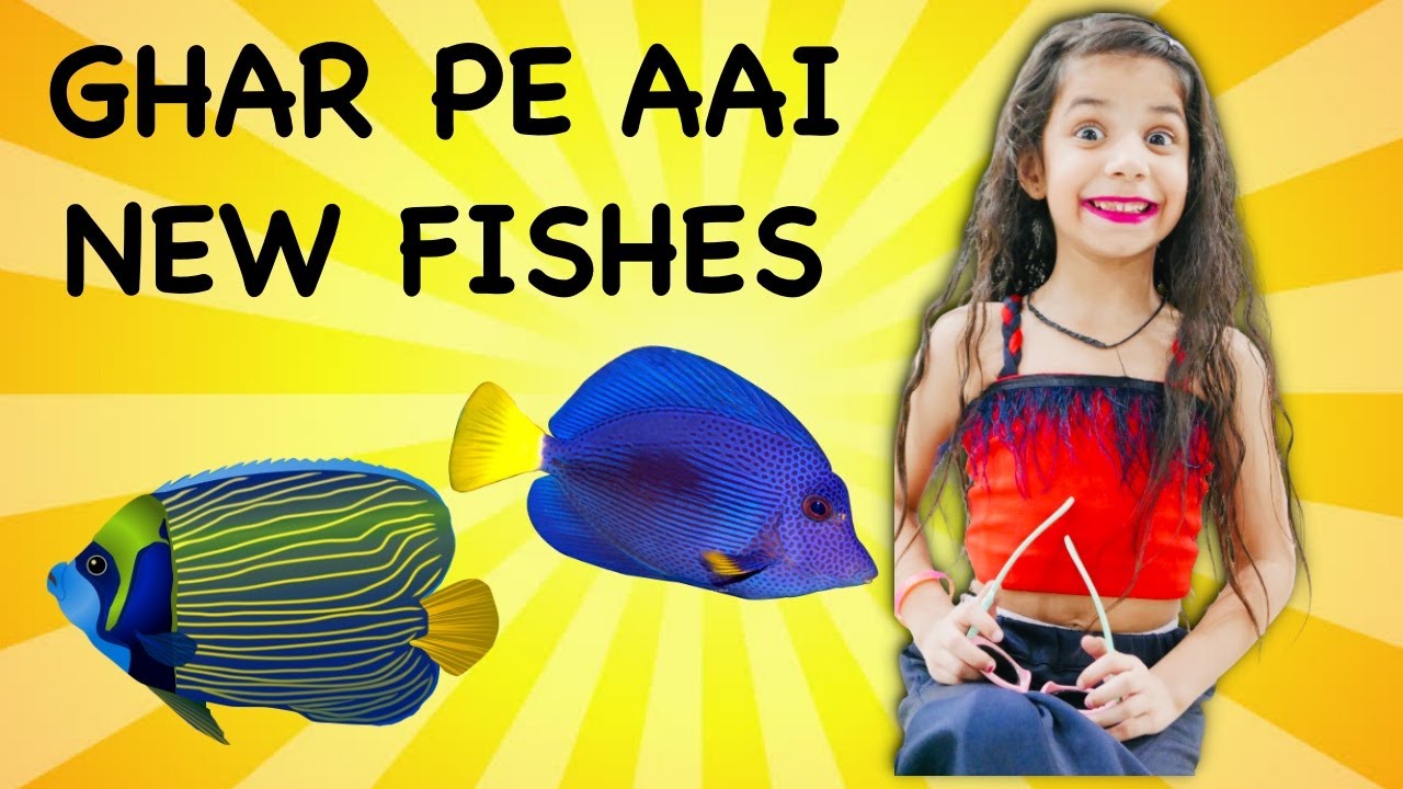 Guneet ne Fish Pakdi 😱 New Fishes for Aquarium 🐠