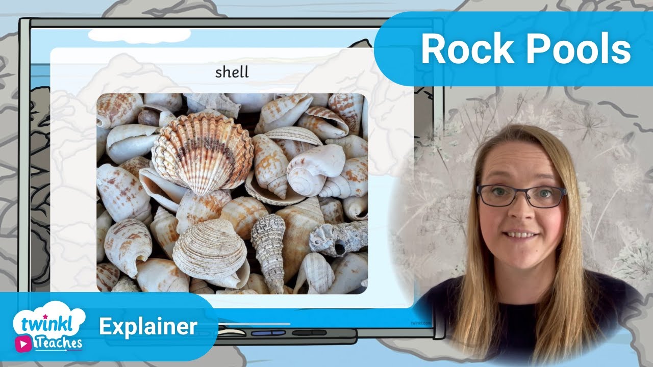 Teach Children about Rock Pool with this Photo PowerPoint