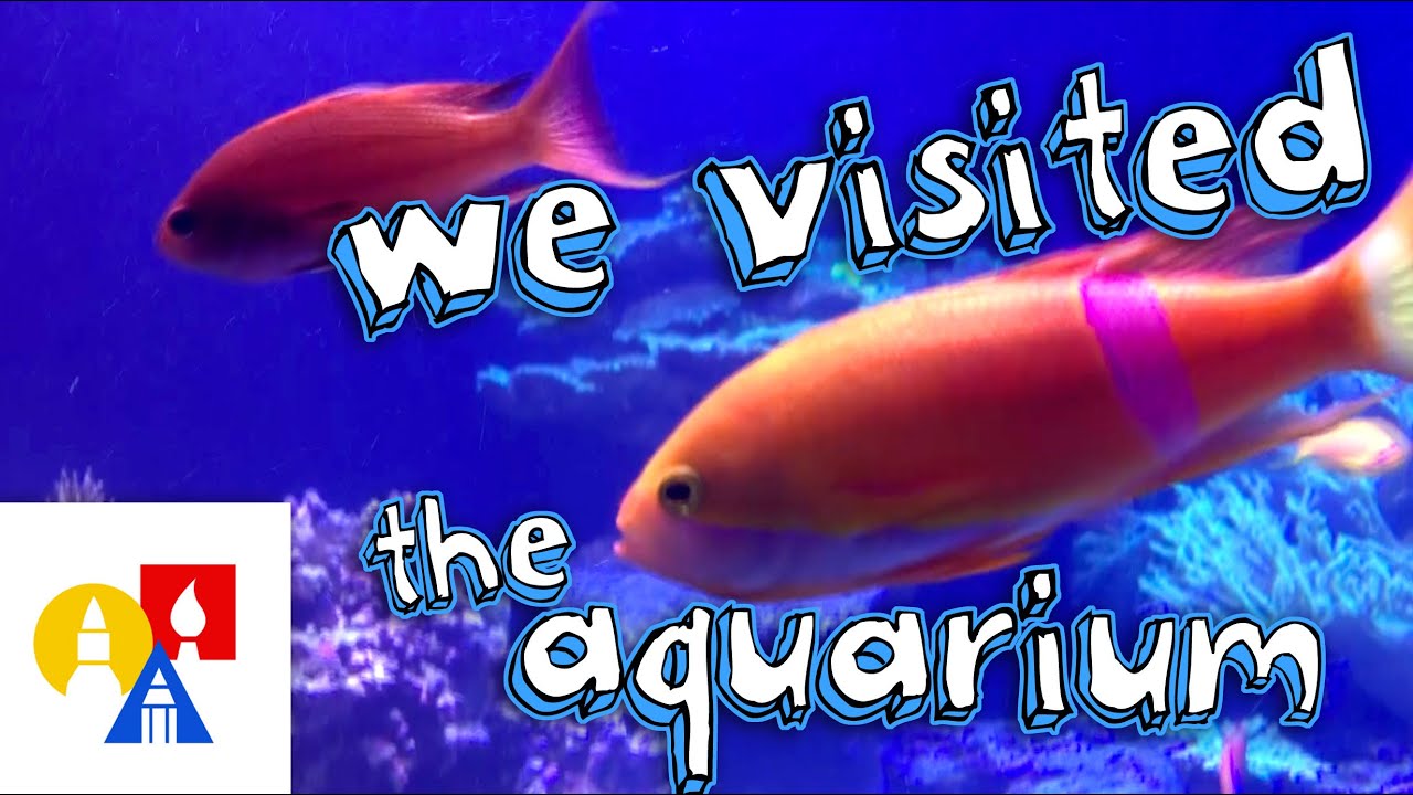 The Living Planet Aquarium + SYA