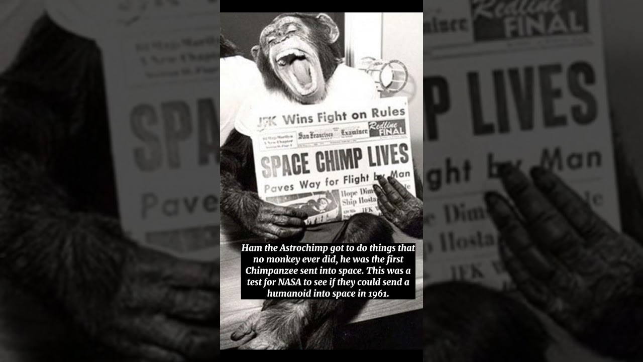 3 Miraculous Photos JFK , Barack Obama, Ham The Astrochimp #shorts