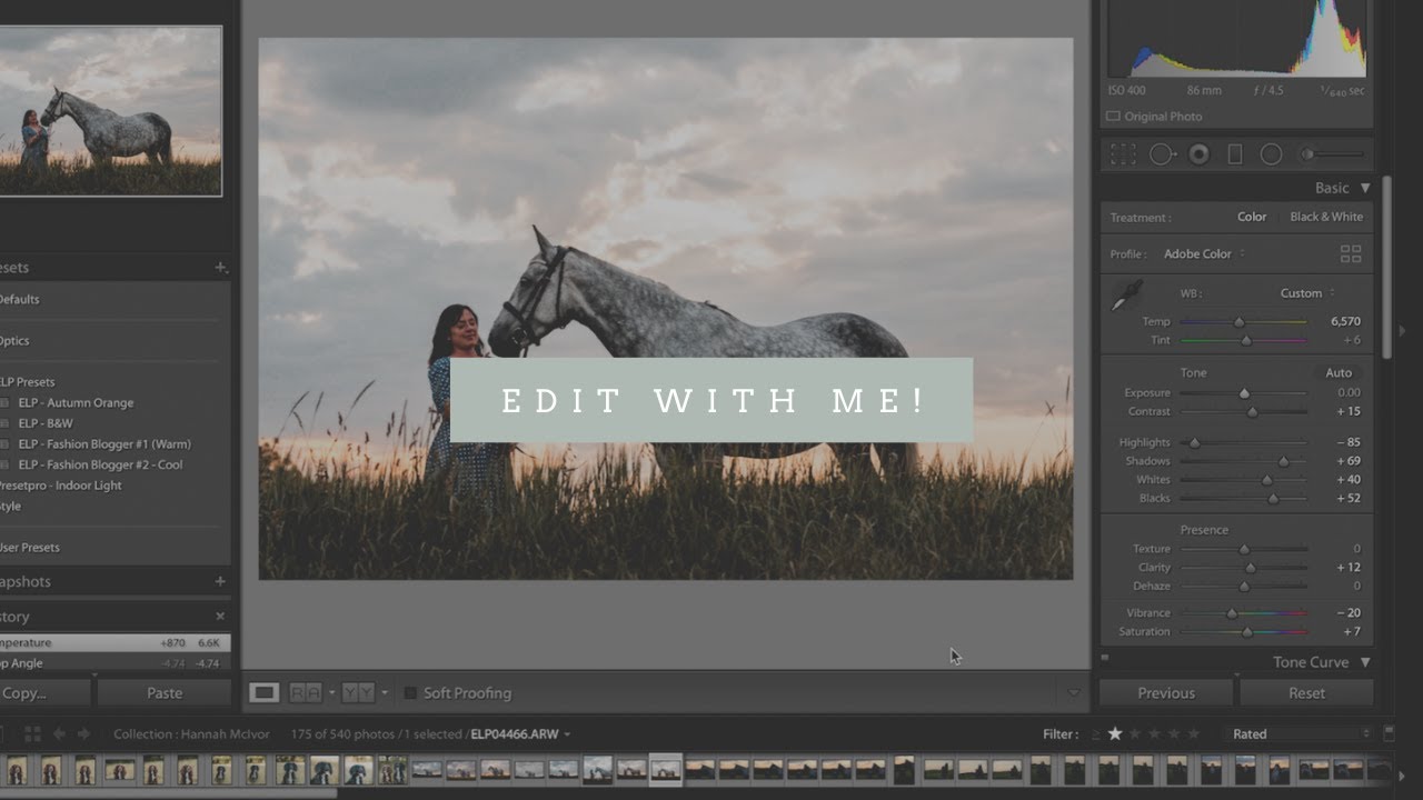 Edit With Me – Equine Portrait Photoshoot | Evie Lewis