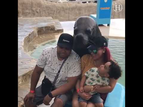 Family photography :: What a lovely Scene :: #shorts #short #viralvideo #ytshorts