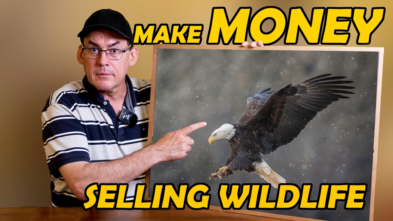 HOW TO MONITIZE YOUR WILDLIFE AND NATURE PHOTOGRAPHY: and, how to take photos that will sell!