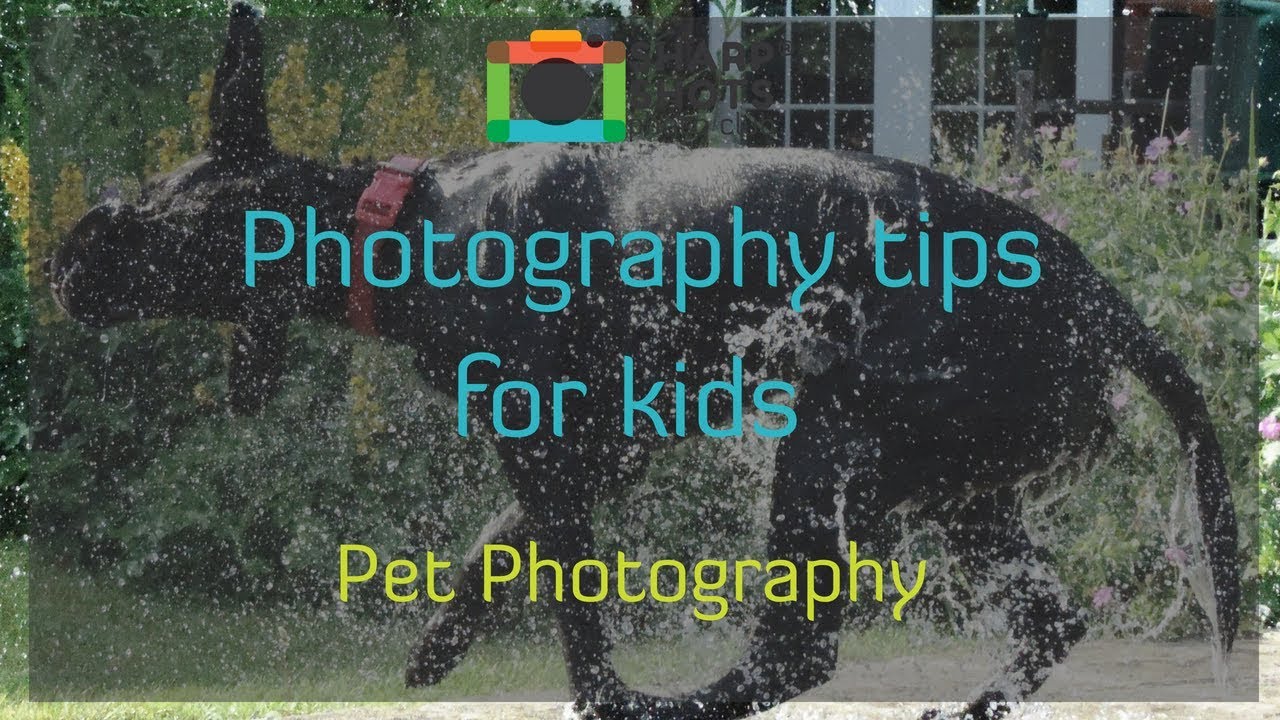 How to Photograph Your Pet Perfectly! 📸 | Photography Tutorial for Kids
