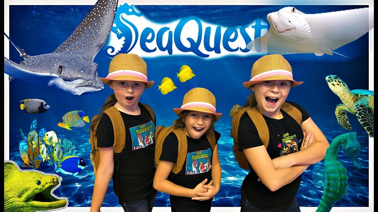 Kids Animal Adventure: SeaQuest Interactive Aquarium