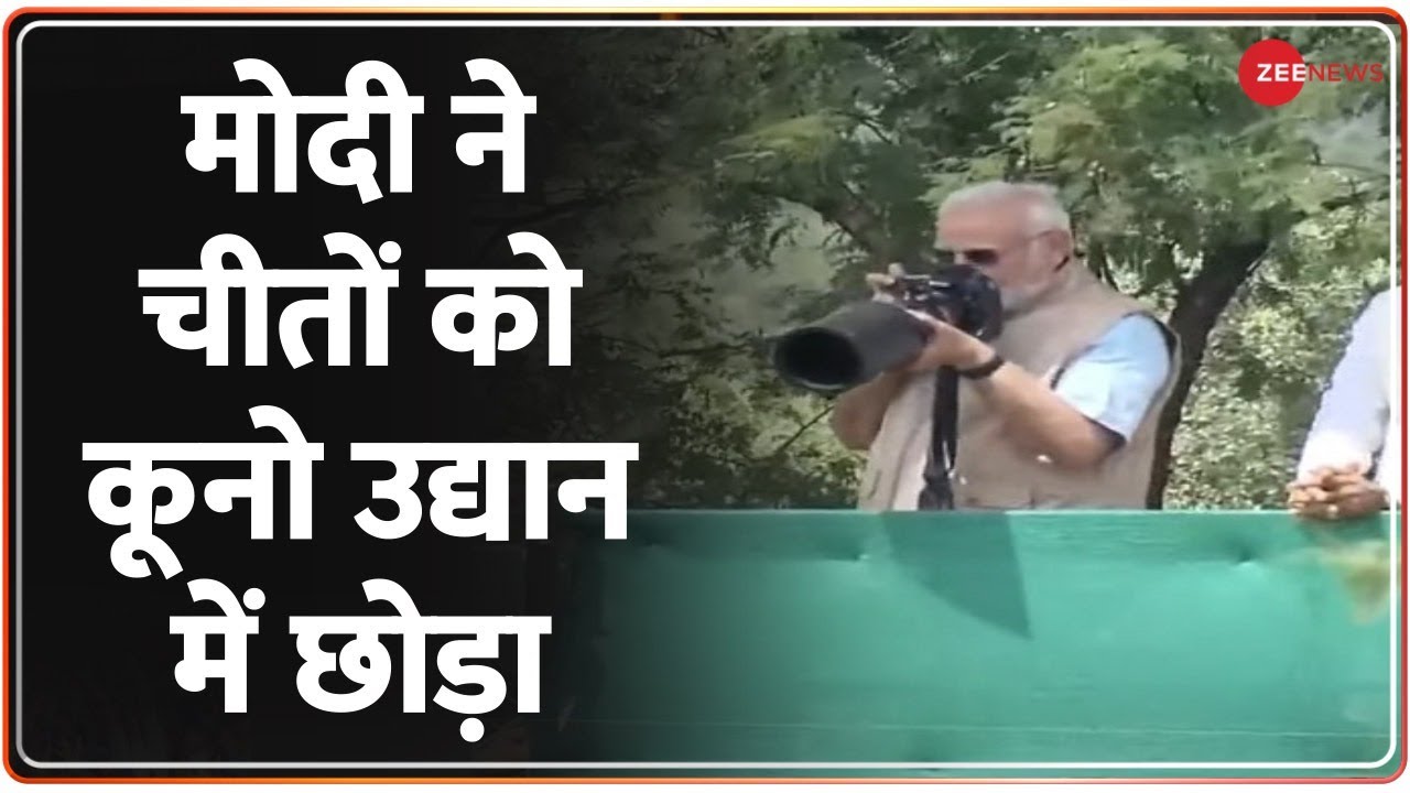 Live Breaking News: पीएम मोदी ने कूनो नेशनल पार्क में छोड़े चीते, कैमरा लेकर खुद क्लिक की फोटो