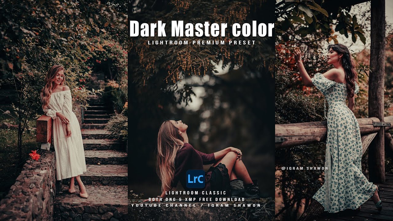 Moody dark brown preset Lightroom Free download Special  Filter For Portrait Photography | Mobile