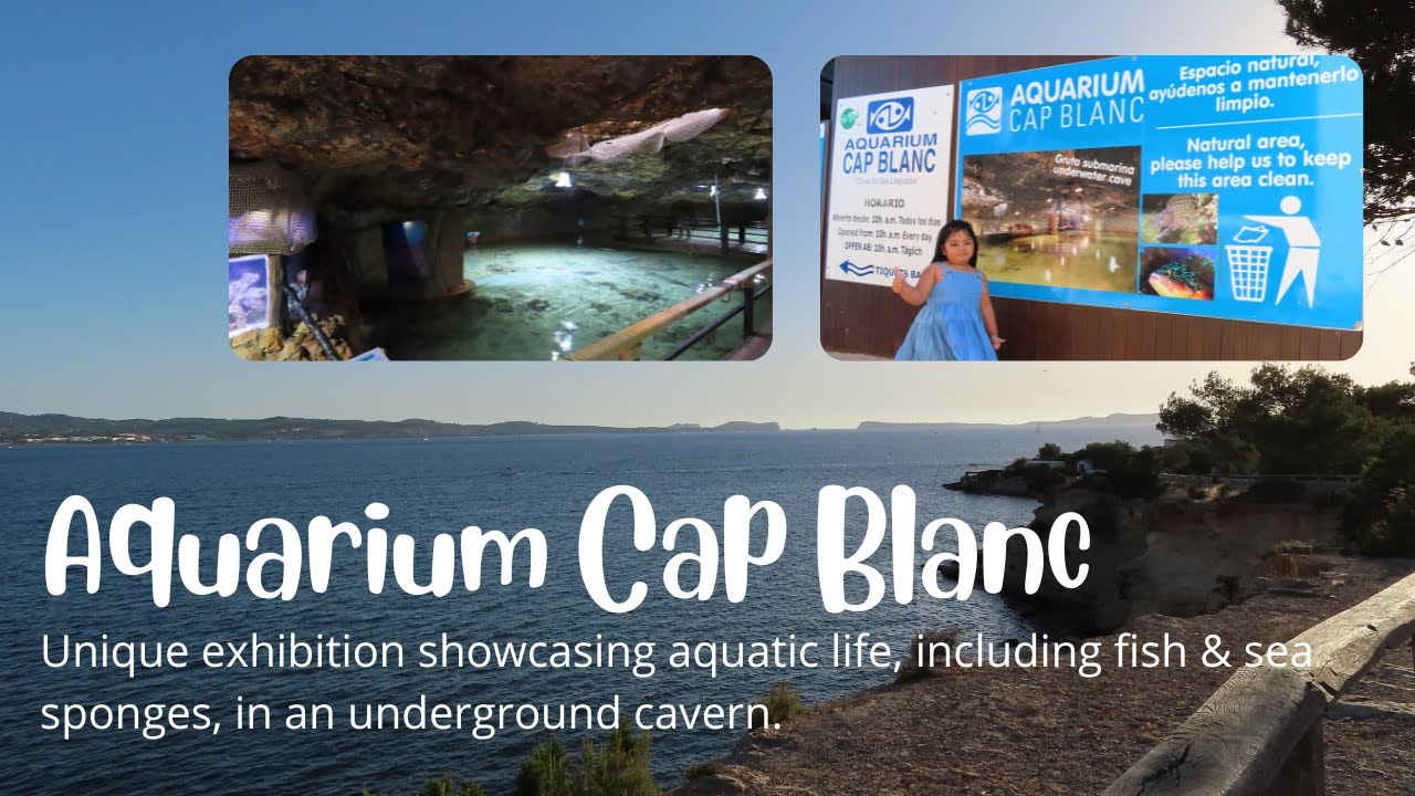 NATURAL AQUARIUM CAP BLANC | UNDERGROUND CAVE AQUARIUM IN IBIZA | FILIPINO FAMILY IN SPAIN