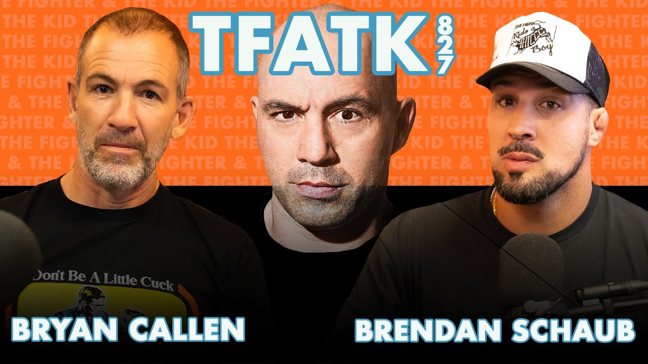 The Return of Fight Companion