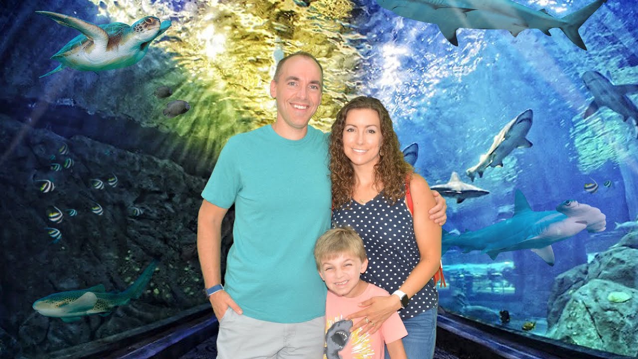 Visiting the Adventure Aquarium in Camden NJ
