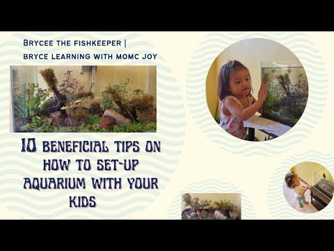 10 BENEFICIAL Tips on How To Set-up Aquarium With Your Kids