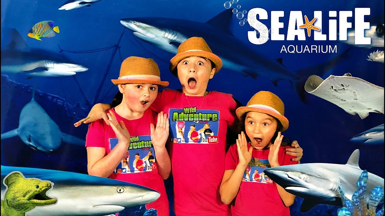 Behind the Scenes at the Sea Life Aquarium – Kids Animal Adventure!