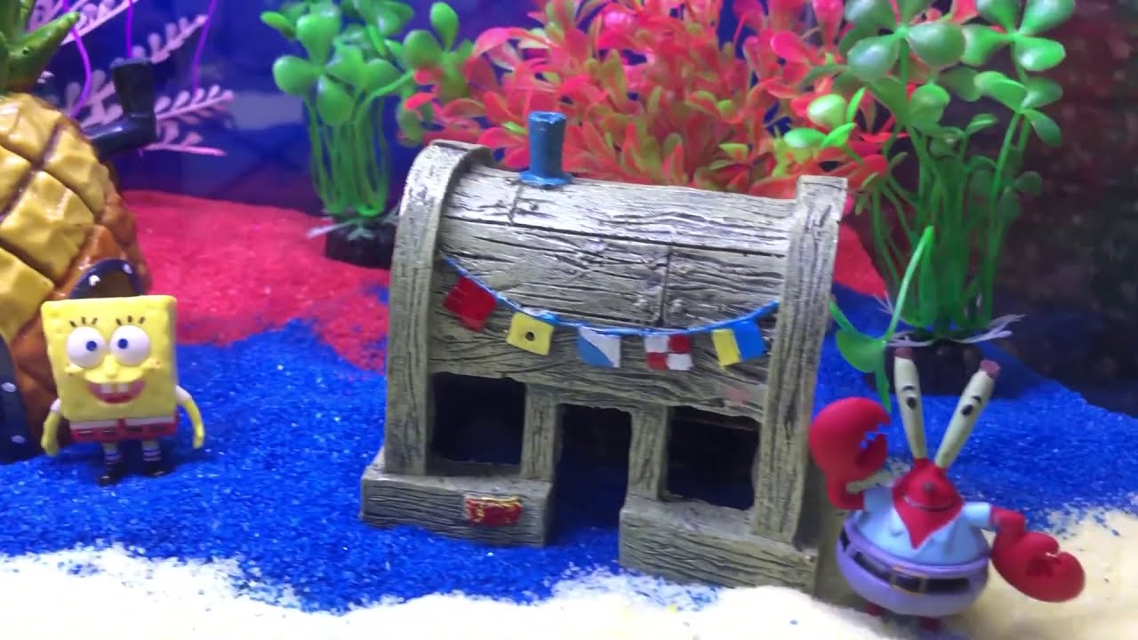 GUIDE IN AQUARIUM SET UP FOR KIDS… STALL NO.14 AQUALAND ALLEY CARTIMAR… #pingymson