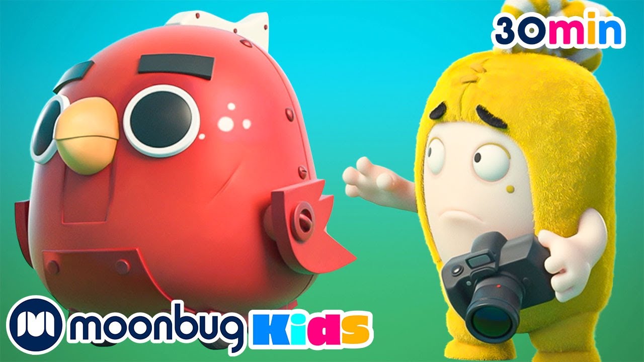 Bird Photography, Angry Birds!! | Oddbods | Animals And Creatures | Kids Cartoon In Hindi हिन्दी