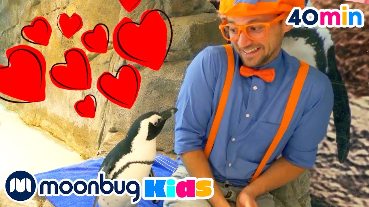 Blippi Visits an Aquarium (Ody Aquarium) | Animals for Kids | Animal Cartoons | Learn about Animals
