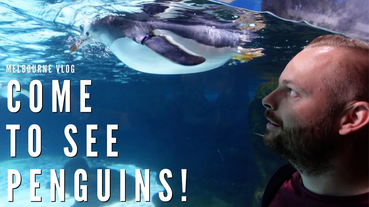 Is SEA LIFE Melbourne Aquarium worth a visit? | Vlog |