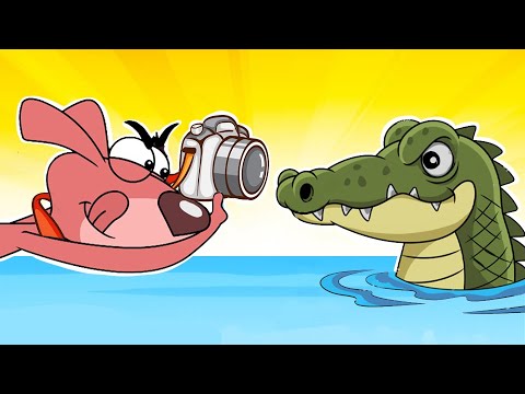 Photographer Don & Trendy Super Aligator Hilarious Cartoon For Kids Compilation Rat A Tat ChotoonzTV