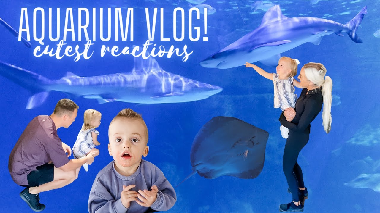 TODDLERS FIRST TRIP TO THE AQUARIUM | FAMILY VLOG | SPECIAL NEEDS FAMILY