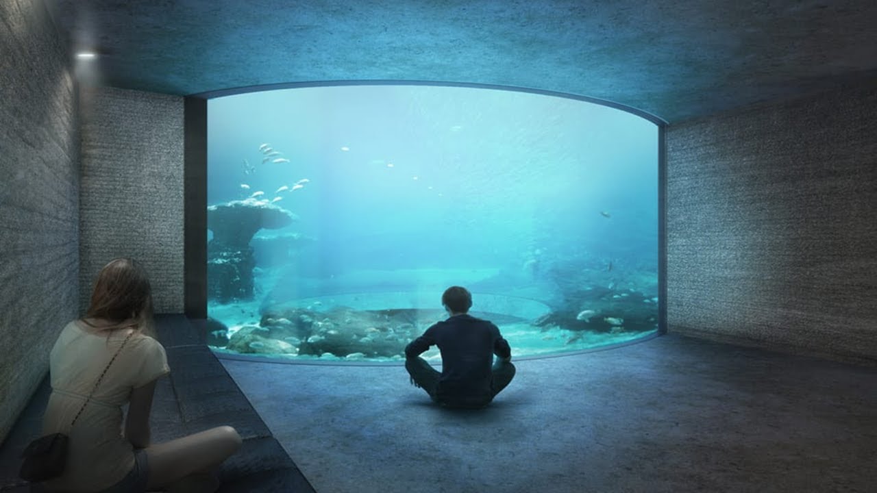 Why every aquarium is trying to solve this problem…