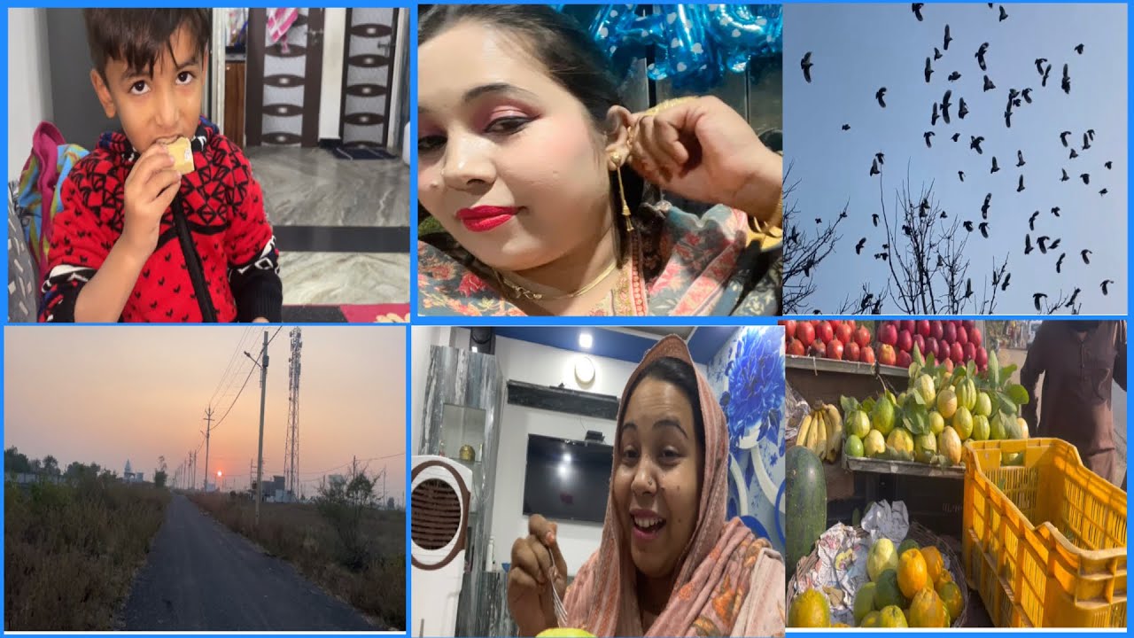 Aaj humne bohot sare 🦅 birds dekhi||Hemish ne mithai 🍫 phek di ab uska kya hoga