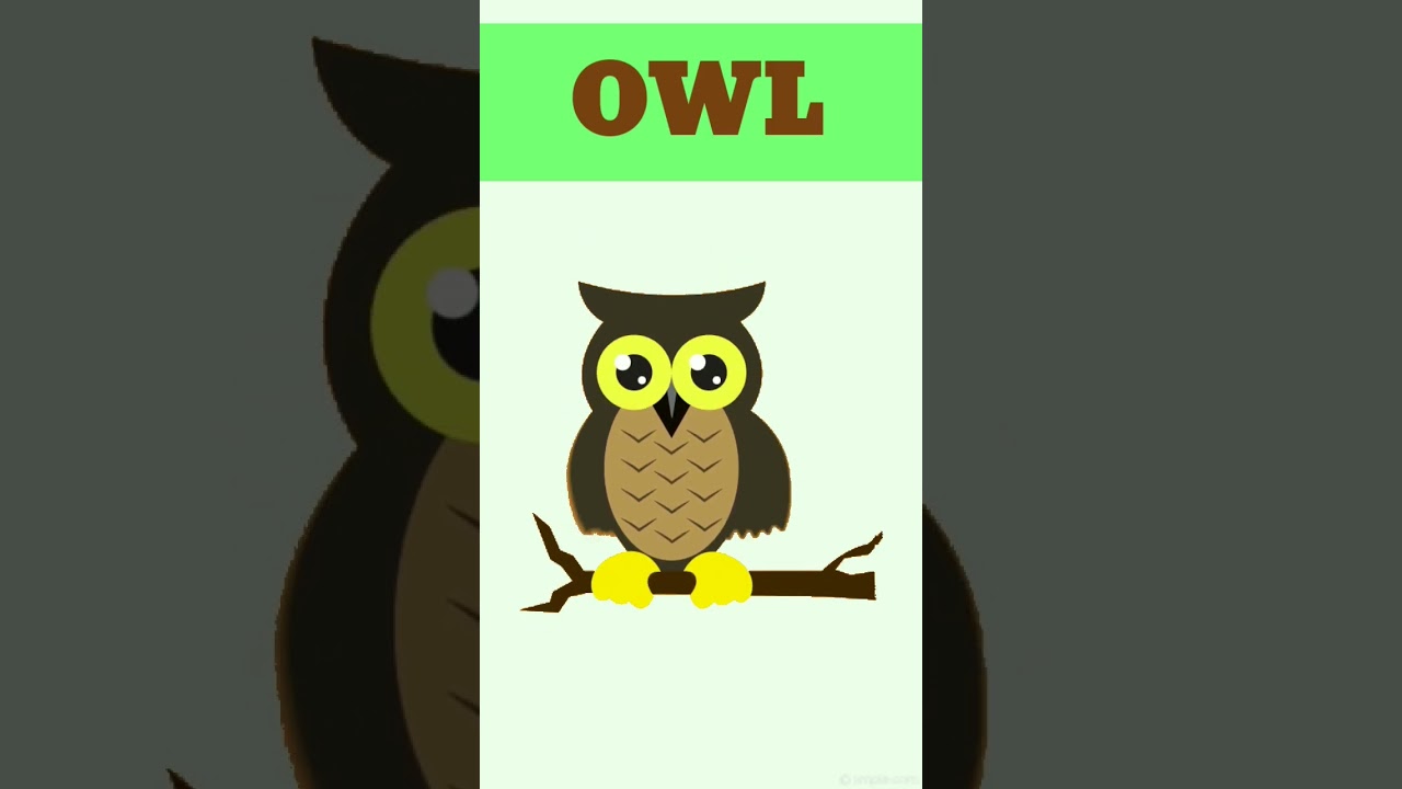 Birds Name with Pictures & Sound || 10 Birds Name for Kids || Learn & Play with Phonics Song