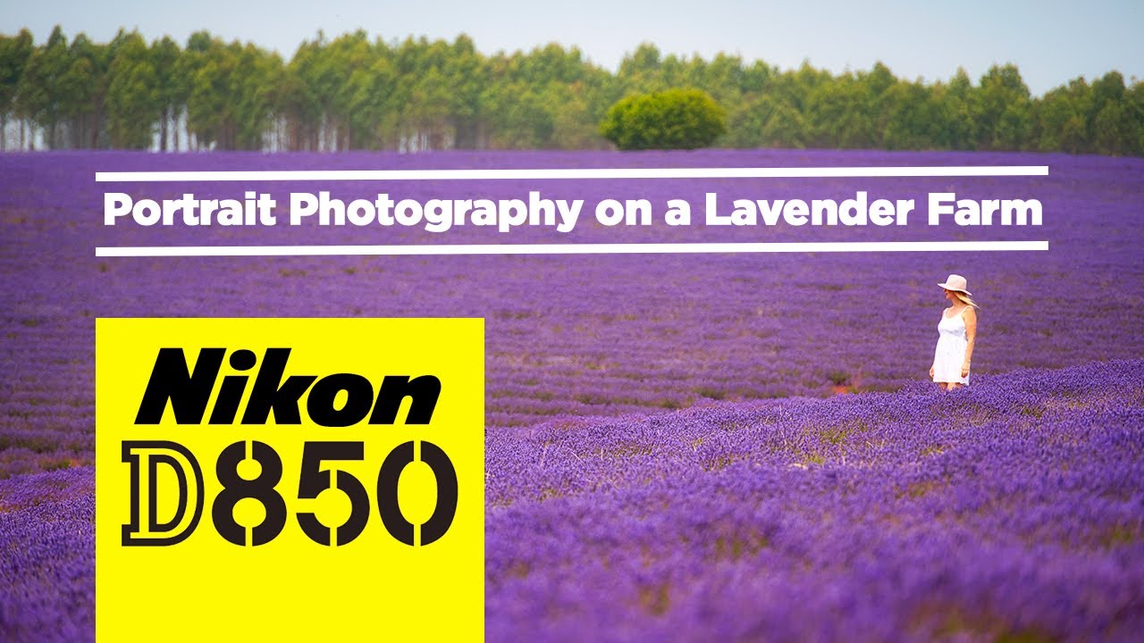 Nikon D850 | Portrait Photography on a Lavender Farm