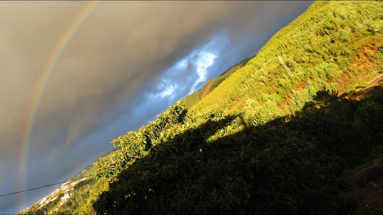 Phenomenon of the Rainbows, weather change, Backyard    Skywatch Photography Observation